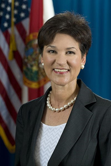 Who will win Congress St Petersburg FL District 13 Pinellas County Alex Sink